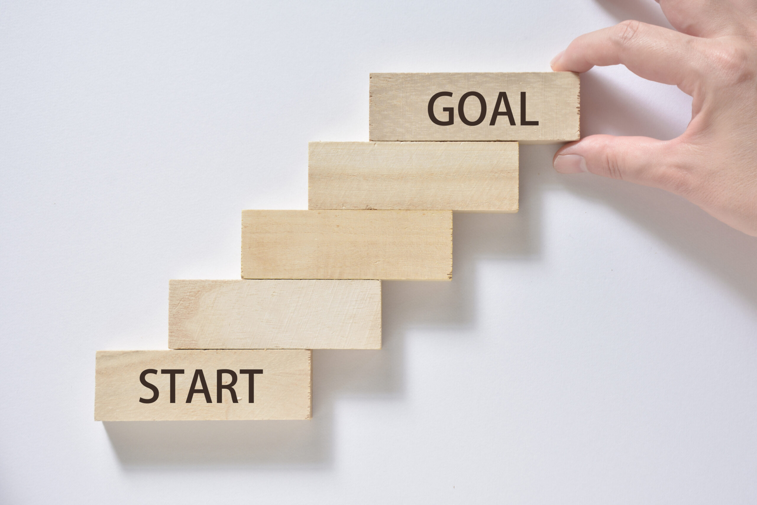 【完全保存版】動物病院の開業支援の流れをステップごとに解説｜失敗しないための実践ガイド